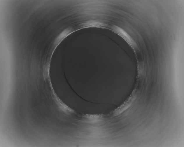 X0000111460946200908031337