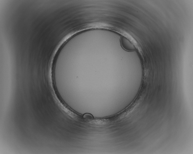 X0000111460947200908031337