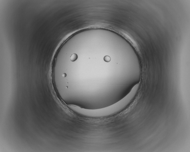 X0000111460948200908031337