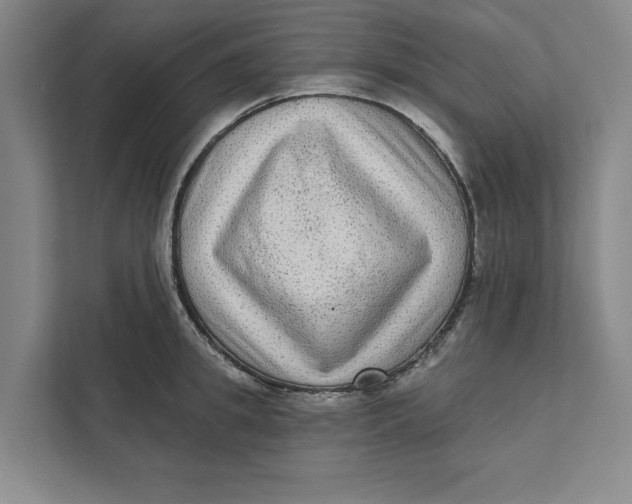 X0000111460949200908031337