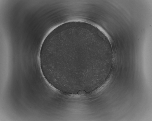 X0000111460951200908031337