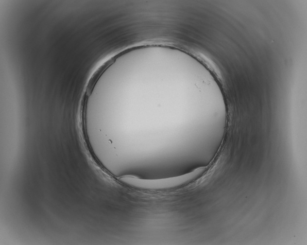 X0000111460952200908031337