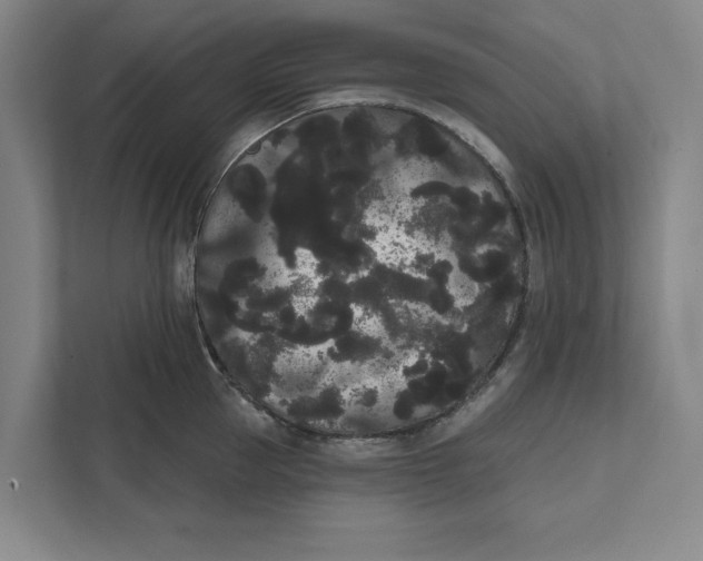 X0000111460953200908031337