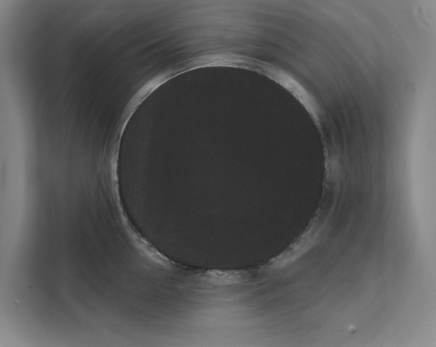 X0000111460954200908031337