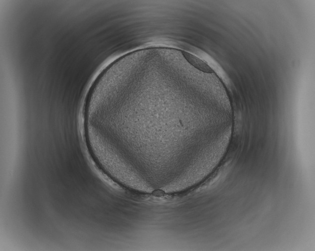 X0000111460955200908031337