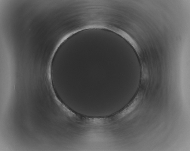 X0000111460958200908031337