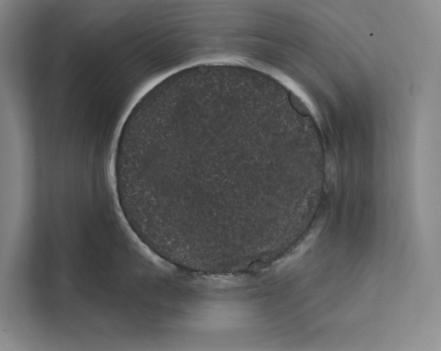 X0000111460959200908031337