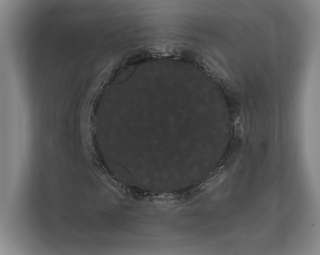 X0000111460961200908031336