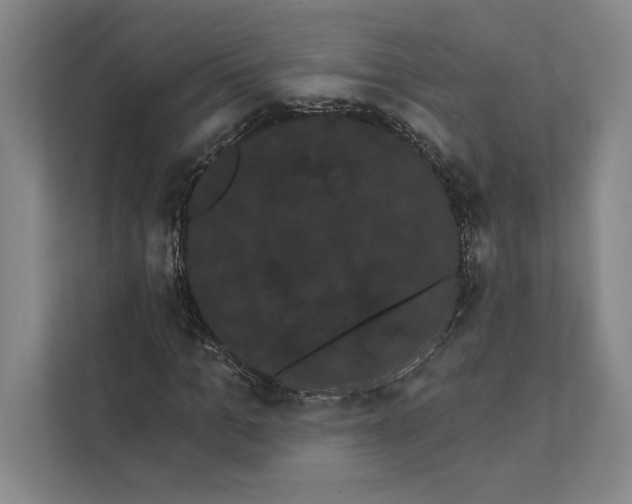 X0000111460965200908031336