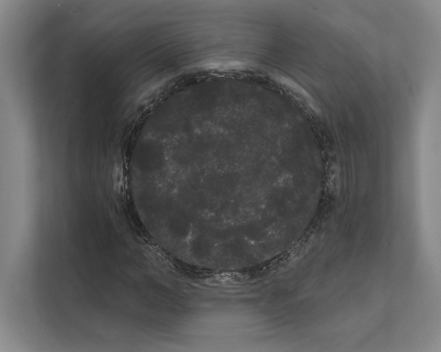 X0000111460966200908031336
