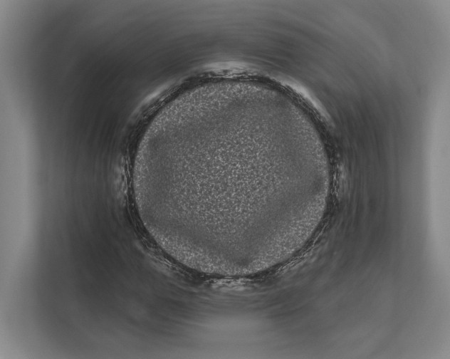 X0000111460967200908031336