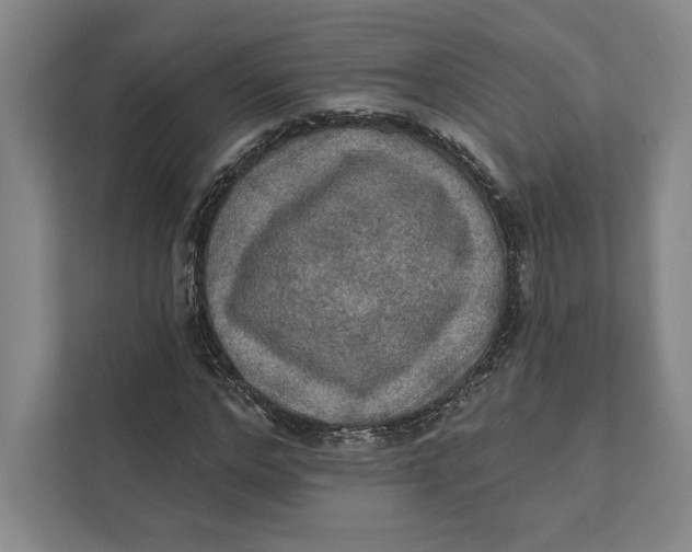 X0000111460968200908031336