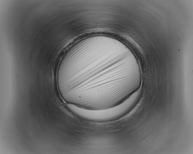 X0000111460969200908031336