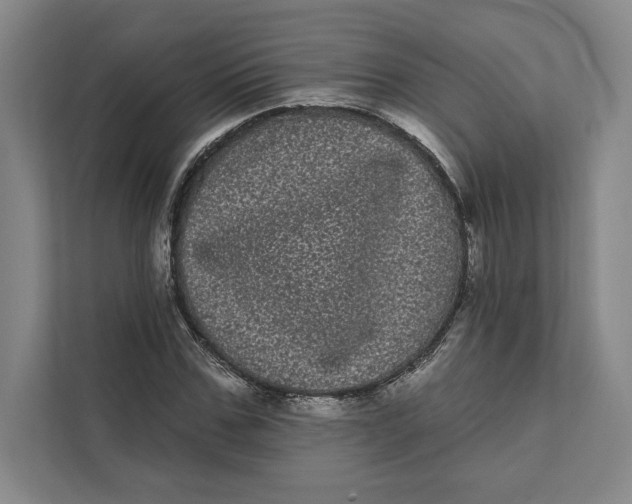 X0000111460971200908031336