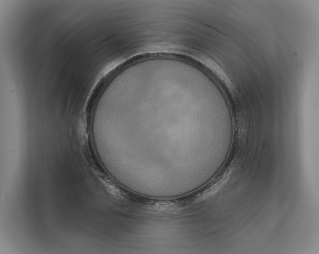 X0000111460974200908031336