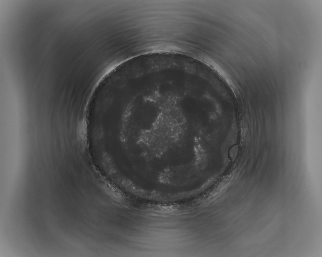 X0000111460975200908031336