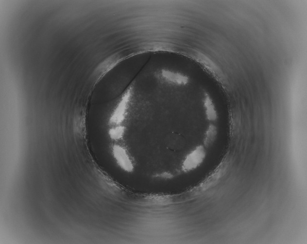 X0000111460977200908031336