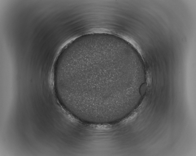X0000111460979200908031336