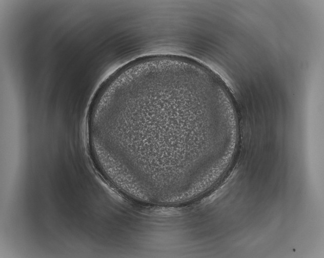 X0000111460982200908031336