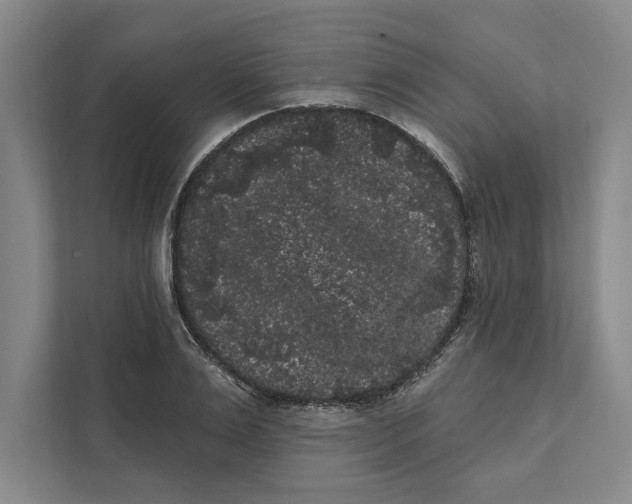X0000111460983200908031336