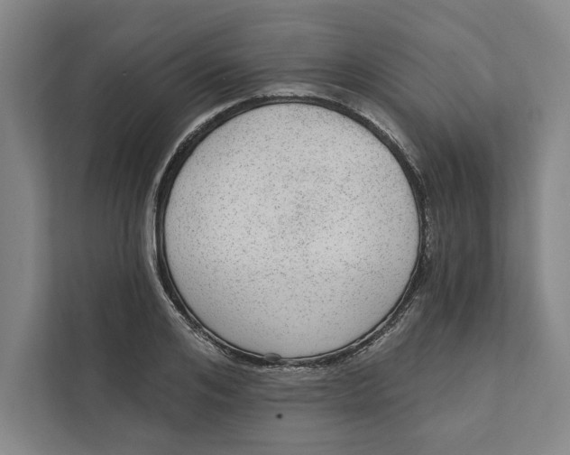 X0000111460984200908031336