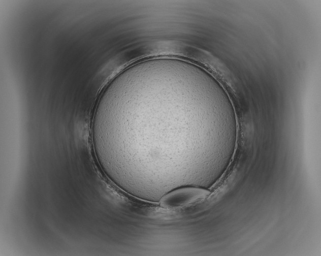 X0000111460985200908031336