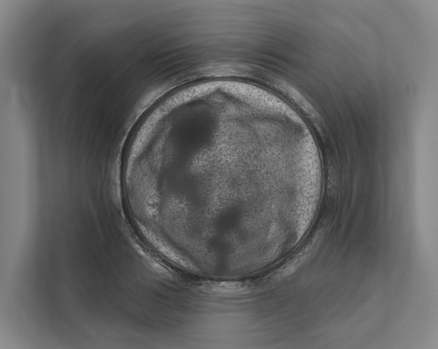 X0000111460986200908031336