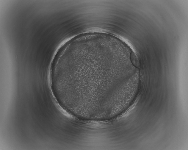 X0000111460987200908031336