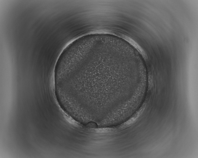 X0000111460988200908031336