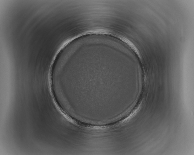 X0000111460989200908031336