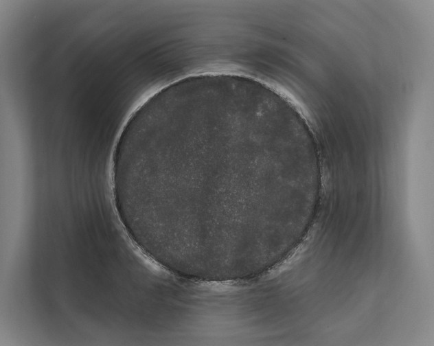 X0000111460990200908031336