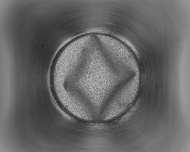 X0000111460991200908031336