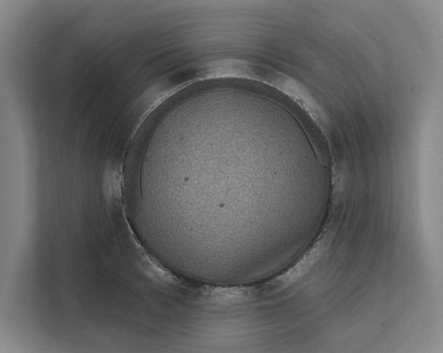 X0000111460993200908031336