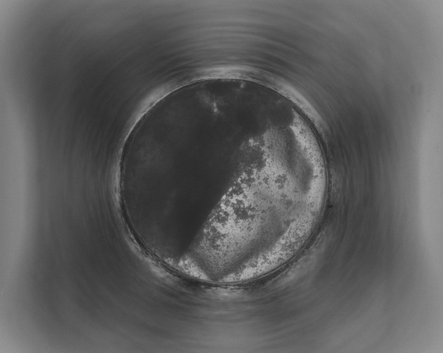 X0000111460994200908031336