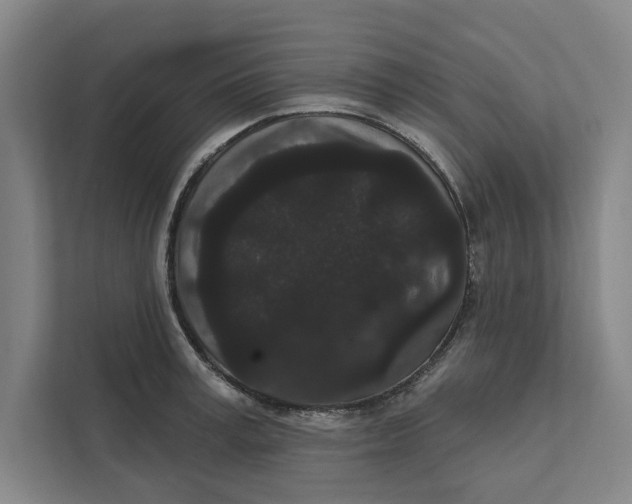 X0000111460995200908031336