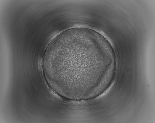X0000111461001200908031336