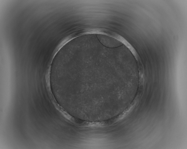 X0000111461002200908031336