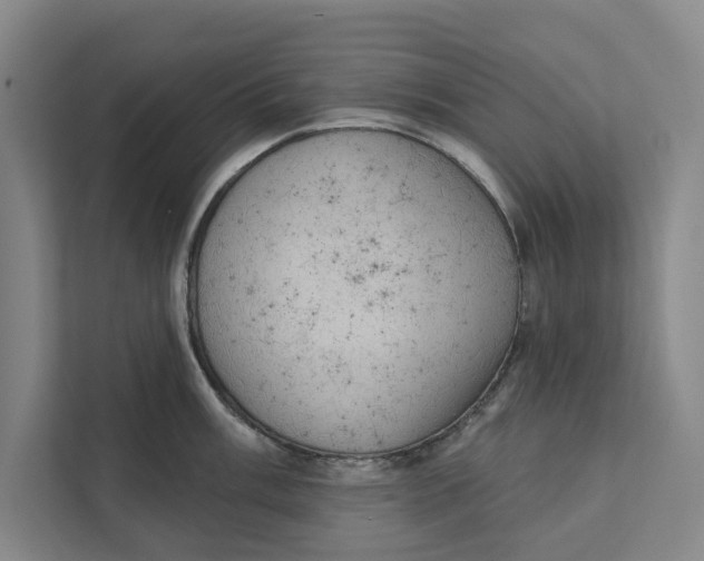 X0000111461003200908031336