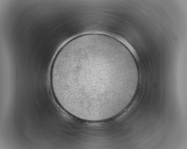 X0000111461004200908031336