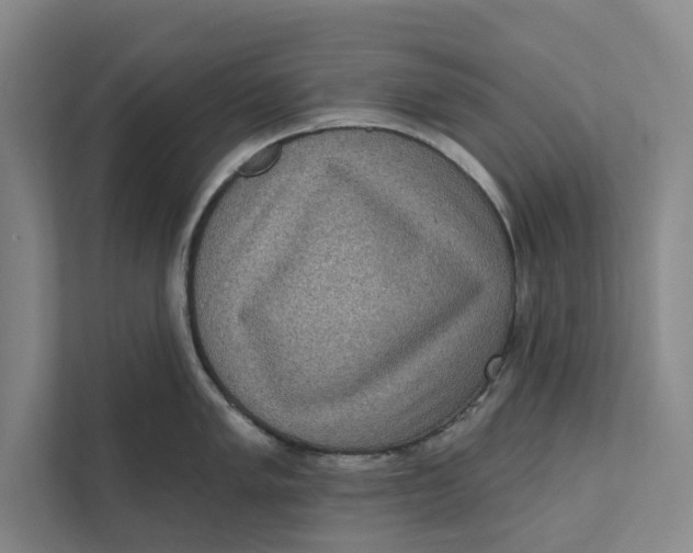 X0000111461005200908031336