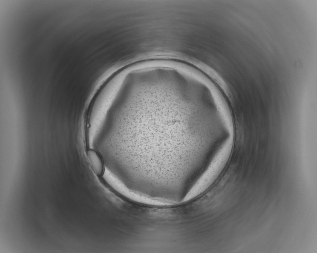 X0000111461006200908031336