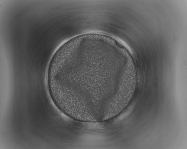 X0000111461007200908031336