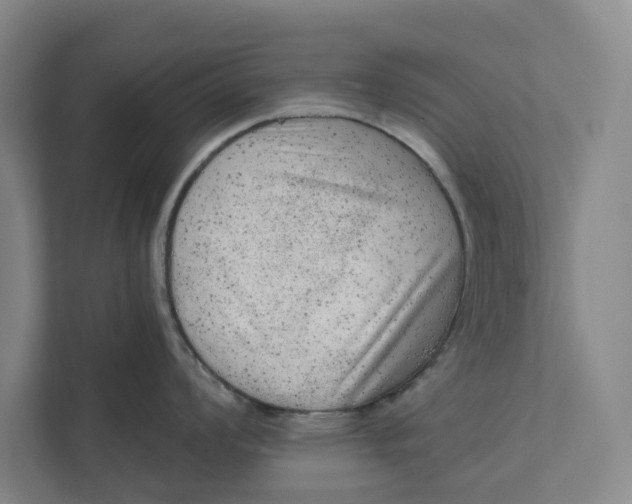 X0000111461008200908031336