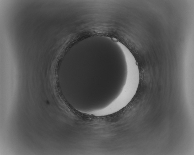 X0000111461009200908031335