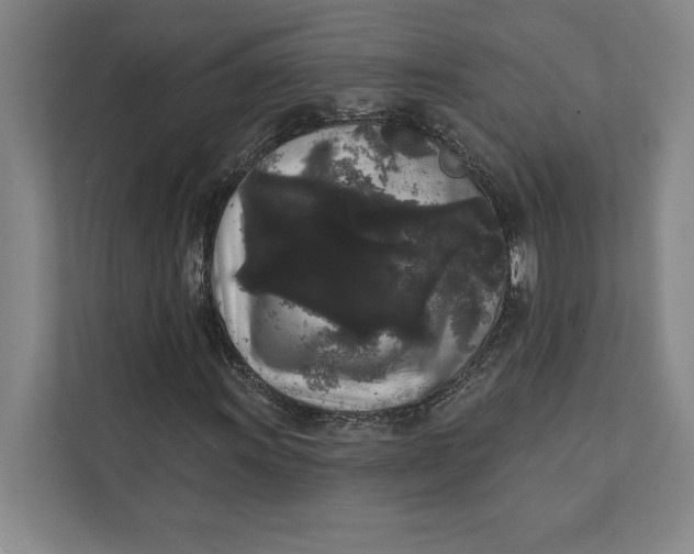 X0000111461011200908031335