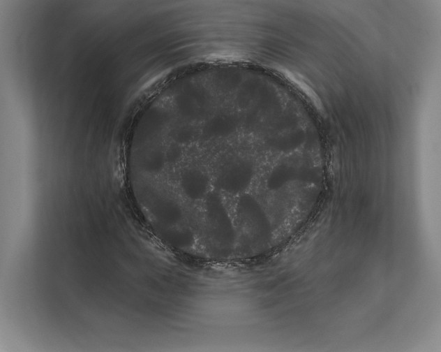 X0000111461015200908031335