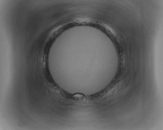 X0000111461016200908031335