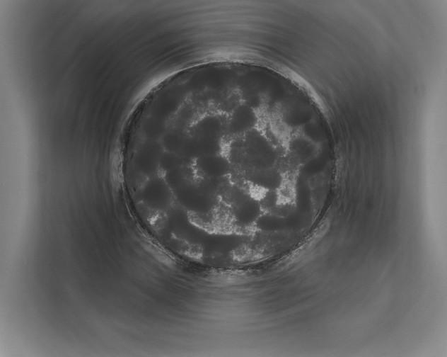 X0000111461019200908031335