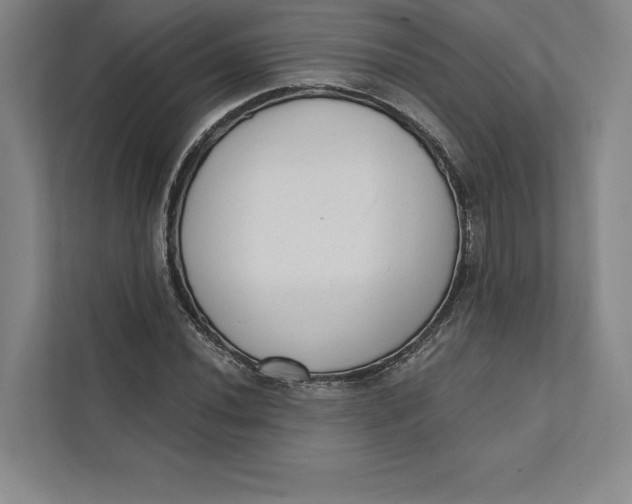 X0000111461020200908031335