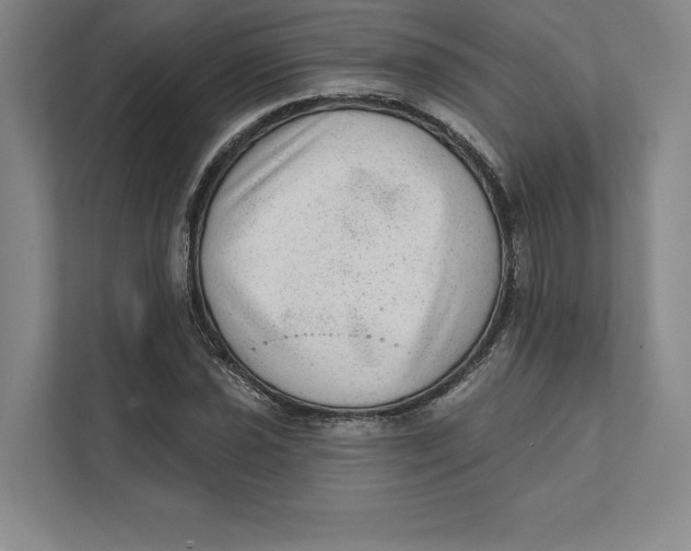 X0000111461021200908031335